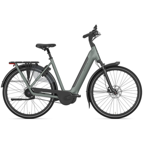 Gazelle Grenoble C5+ First Edition Twilight Green Mat Dames 2027