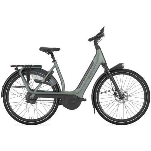 Gazelle Avignon C380+ Twilight Green Mat Dames 2026