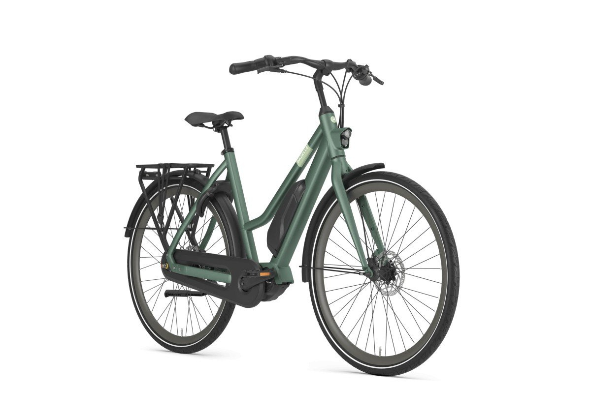 Gazelle Esprit C7 Moss Green Mat DAMES 2025
